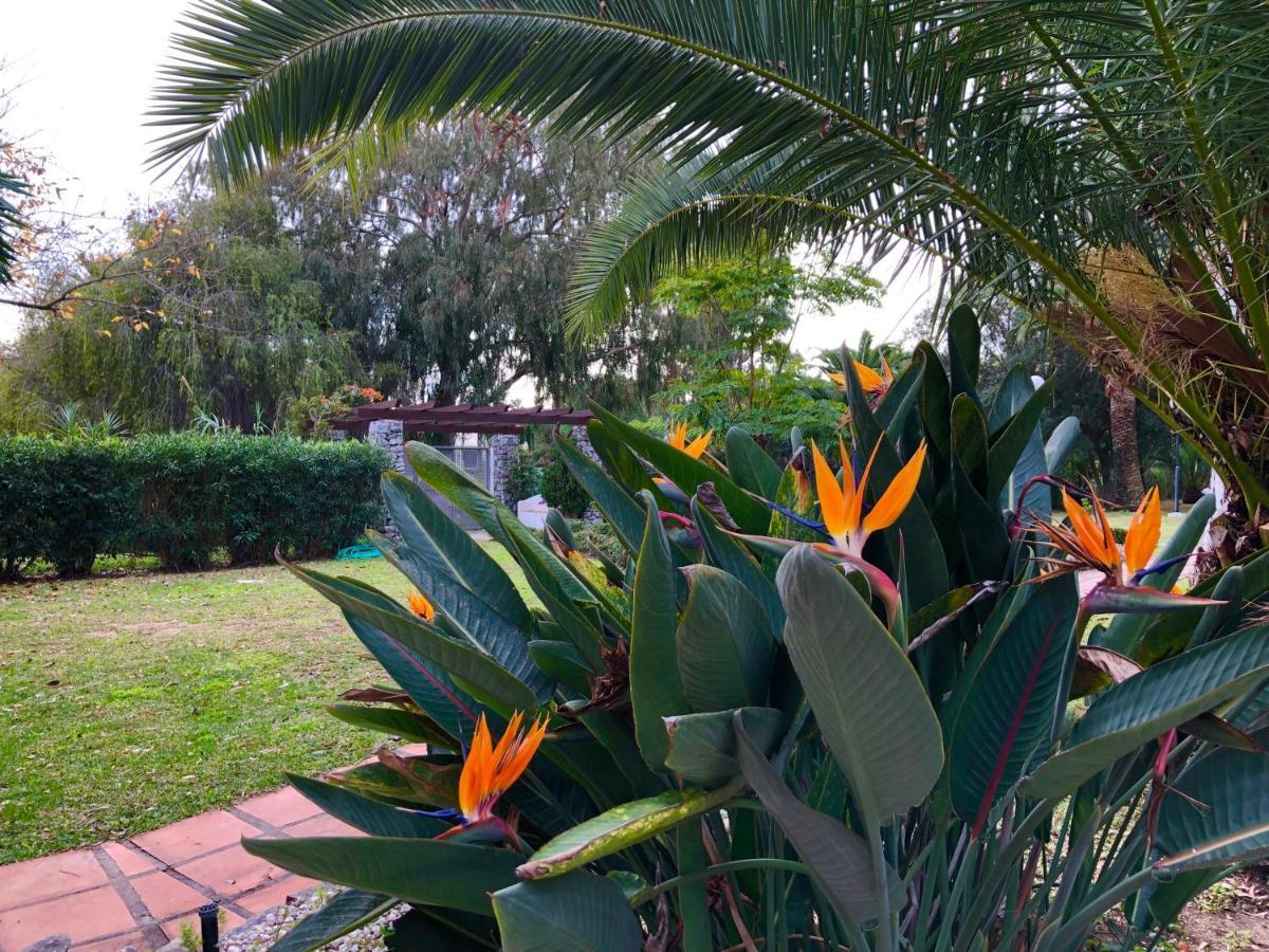 Apartamento Fantastico En Puerto Banus Marbella